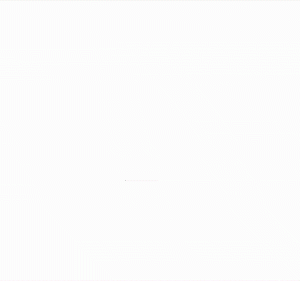 Web Applicatie Ontwikkeling