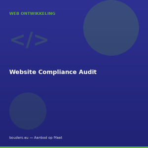 Website Compliance Audit